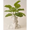 Busto donna con pianta